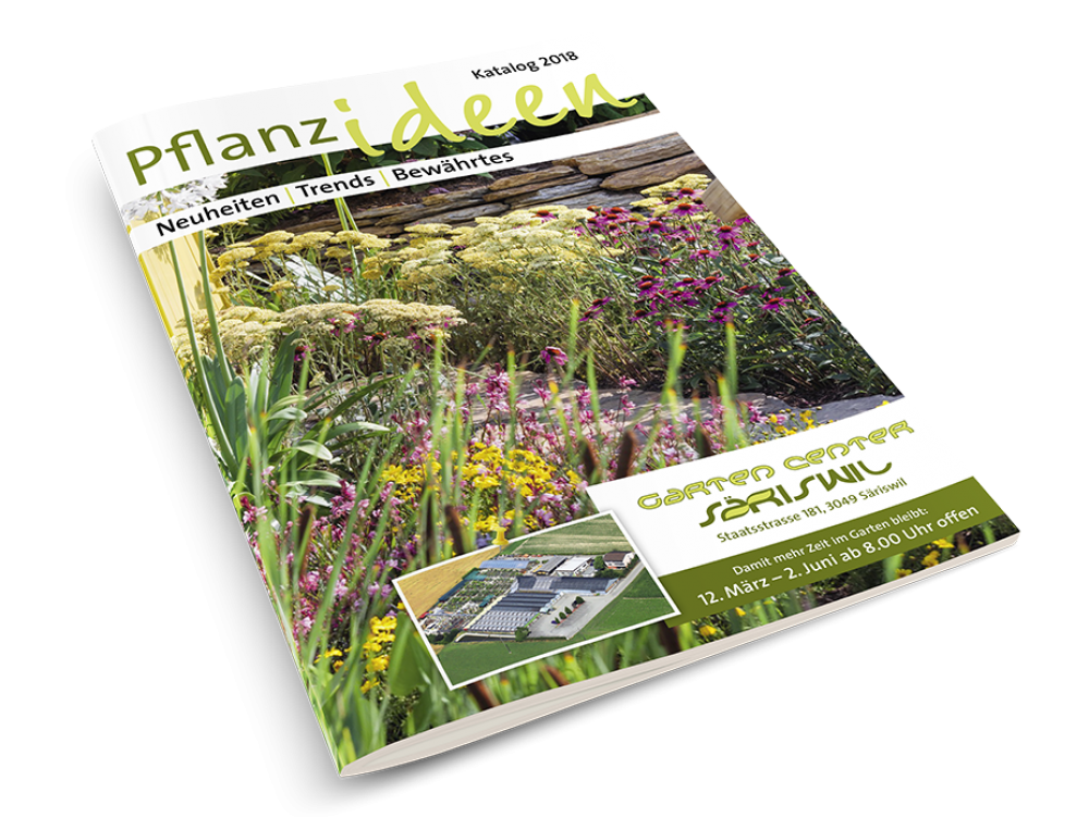 54+ Garten Pflanzen Bestellen, 4,5/5         (4.485 reviews)