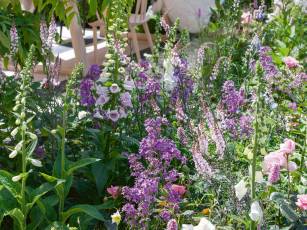 Biodiversität – keine Eintagsfliege!