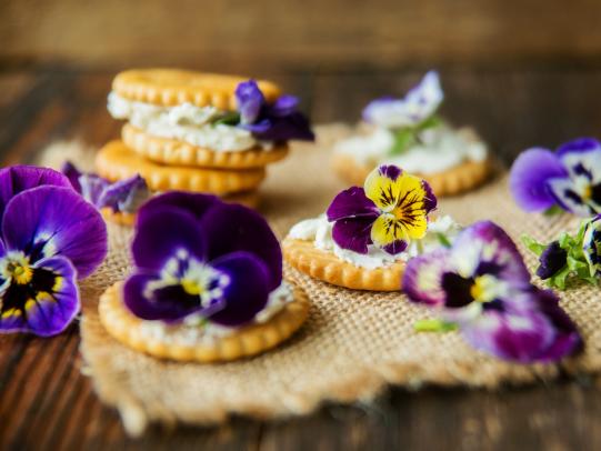 Essbare Blüten – Lecker & dekorativ