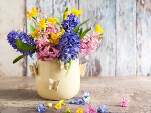 Der Frühling und seine schönsten Pflanzen