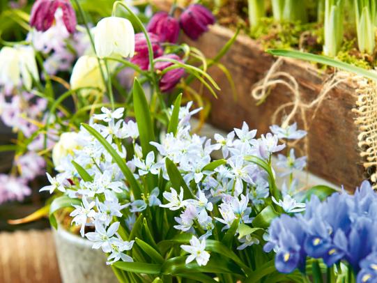 Neue Impulse im Frühlingssortiment