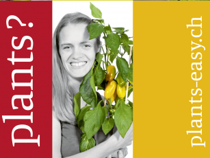 Plants?easy! Gemüse – So einfach geht’s! 