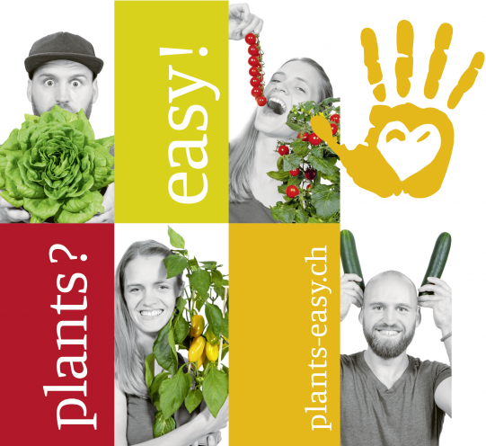 Plants?easy! Gemüse – So einfach geht’s! 