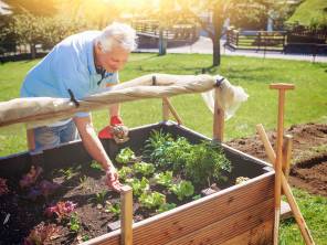 Hochbeet – Auf gute Nachbarschaft