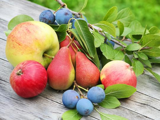 Hochgenuss auf kleinstem Raum