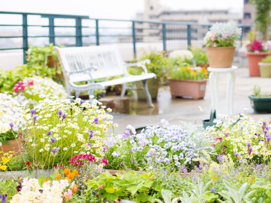 Naturnah und biodivers – Terrasse für Insekten