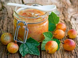 Ungewöhnlich &amp; lecker – Selbstgemachtes aus Wildobst