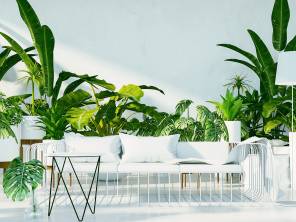 Zimmerpflanzen – Grüne Oasen im Winter