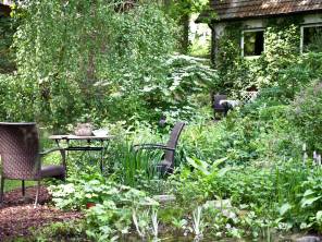 Pflanzen verbessern das Klima – Cool down