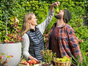 plants? easy! – Früchte einfach naschen