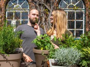 Für alle Sinne – Pflegeleichte Kräuter