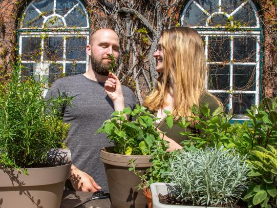 Für alle Sinne – Pflegeleichte Kräuter