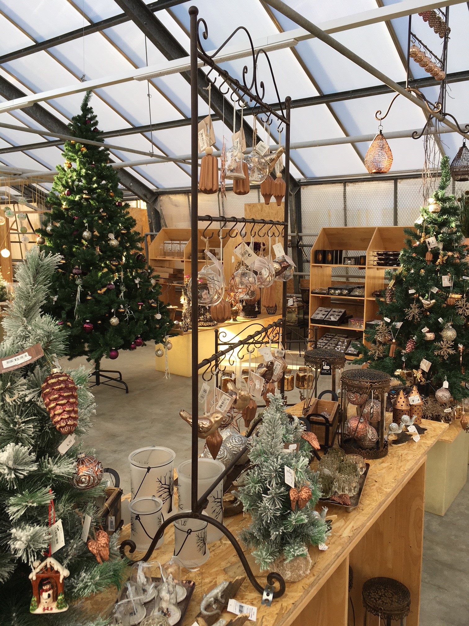 Meldung Weihnachtsmarkt Garten Center Säriswil