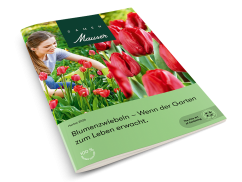 Samen Mauser Frühling 2026