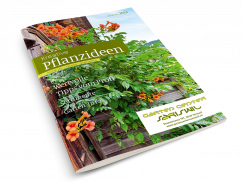 Pflanzideen Katalog 2024