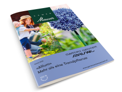 Samen Mauser Herbst 2025