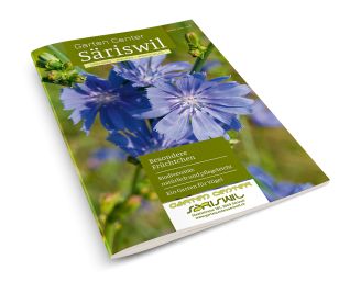 Säriswil News Nr. 2