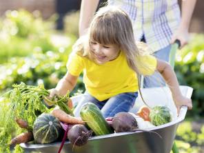 Gemüse-Snacks für Gross und Klein