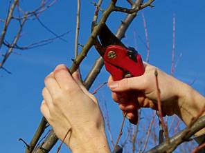 Wir machen Ihren Garten winterfest.