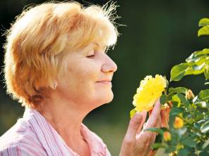 Rosenduft liegt in der Luft