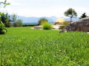 Rasen für den Winter fit machen