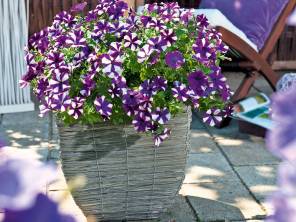 Die Farben der Sonne