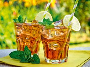 Erntefrische Teekräuter für Geniesser