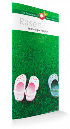 Rasen - Lebendiger Teppich