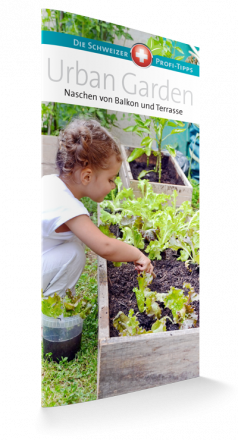 Naschen von Balkon und Terasse
