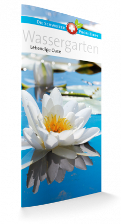 Wassergarten - Lebendige Oase