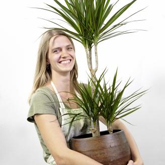 Plants Easy ist im Gartencenter Säriswil erhältlich