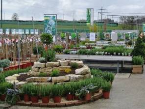 20% Rabatt auf alle Baumschulpflanzen