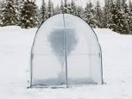 Kübelpflanzen-Überwinterung 