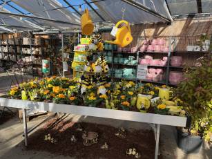 Frühlingsausstellung 