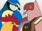 Kleintier - Ausstellung  13./14. Mai