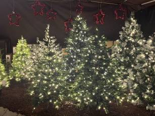 Eröffnung unseres Weihnachtsmarktes