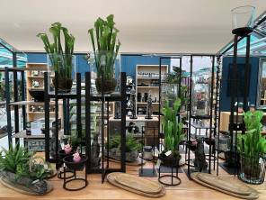 Spannende Artikel in der Boutique - Abteilung