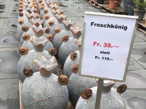 Ein Froschkönig zum Frühjahr