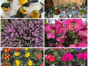 Frühling ist im Anflug