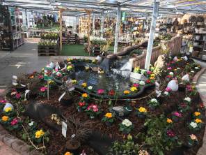 Frühling im Garten Center