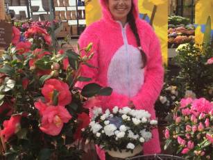 unsere Osterhäsin Sarah ist beit fürs Würfelspiel