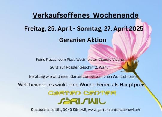 Geranien-Einpflanz-Aktion