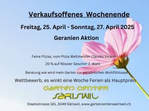 Geranien-Einpflanz-Aktion