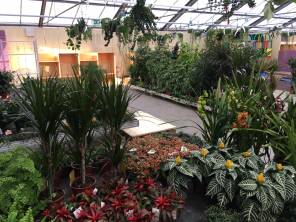 Unser neu Umgebautes Grünhaus ist eröffnet!