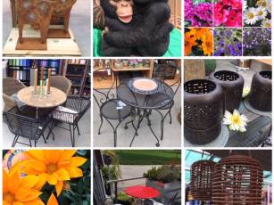 Ein blühender Balkon 