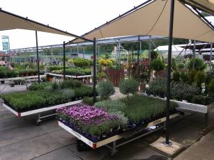 Pfingstmontag Geschlossen