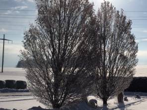 Frohe Weihnachten und alles Gute im Neuen Jahr 