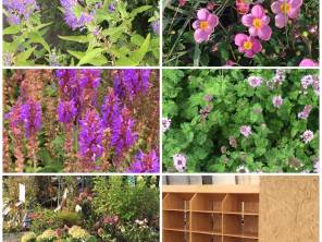 Ein Glas Prosecco im Garten Center 