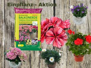 Einpflanz - Aktion 