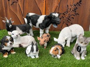 Grosse Auswahl an Tieren